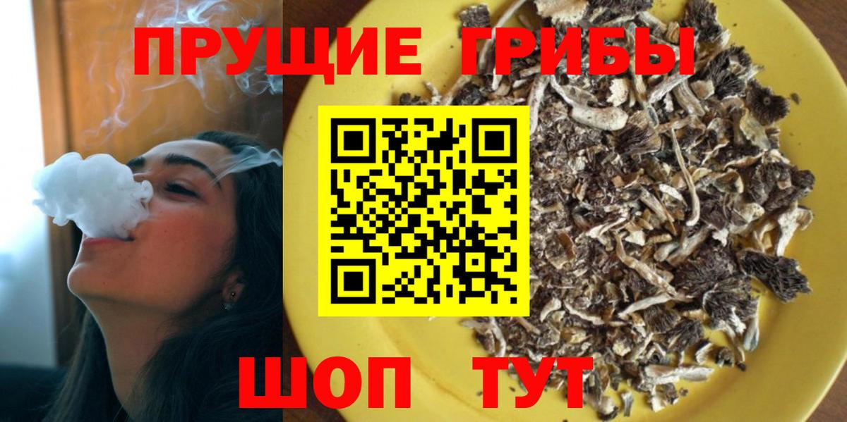 Тольятти  Галлюциногенные грибы мицелий  Вход с VPN 